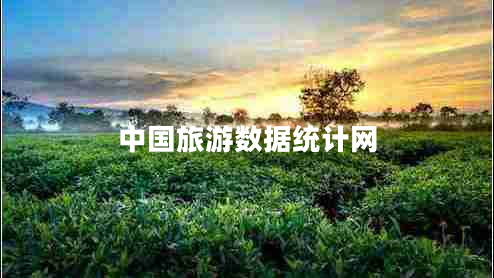 中國旅游數據統(tǒng)計網