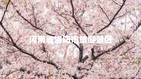河南省洛陽(yáng)市旅游景區(qū)