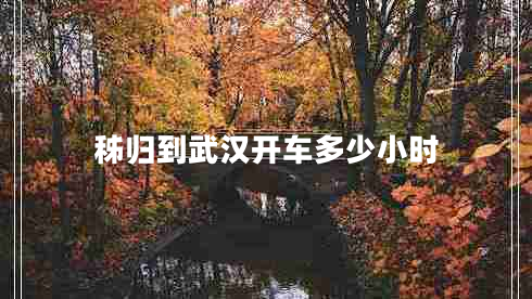 秭歸到武漢開車多少小時