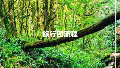 旅行團(tuán)流程