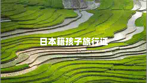 日本籍孩子旅行證 日本籍孩子旅行證