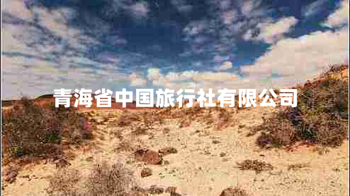 青海省中國(guó)旅行社有限公司