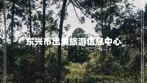東興市出境旅游信息中心 東興市出境旅游信息中心