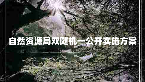 自然資源局雙隨機(jī)一公開實(shí)施方案