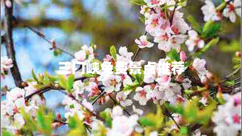 三門峽免費景點推薦