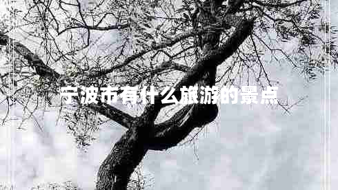 寧波市有什么旅游的景點(diǎn)