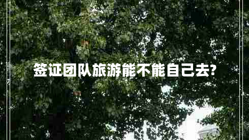 簽證團(tuán)隊旅游能不能自己去?