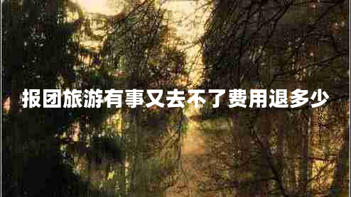 報團旅游有事又去不了費用退多少