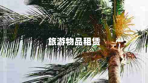 旅游物品租賃
