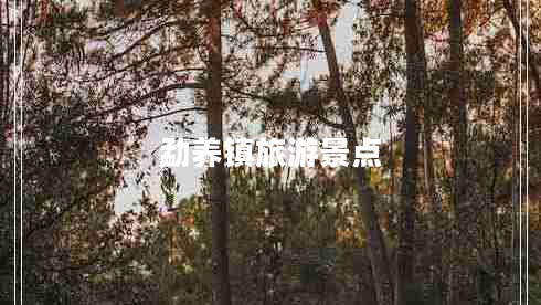 勐養(yǎng)鎮(zhèn)旅游景點