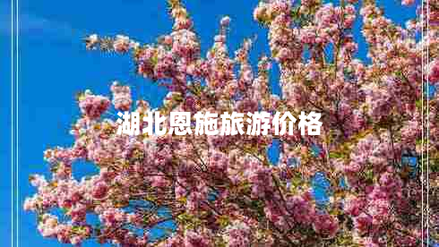 湖北恩施旅游價格