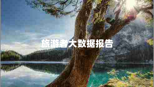旅游者大數(shù)據(jù)報(bào)告