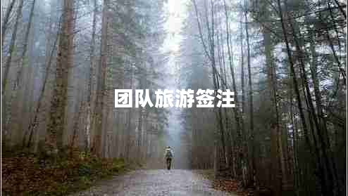 團(tuán)隊(duì)旅游簽注