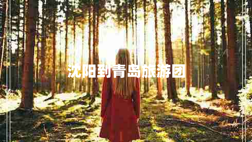 沈陽到青島旅游團(tuán) 沈陽到青島旅游團(tuán)