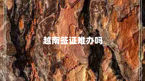 越南簽證難辦嗎 越南簽證難辦嗎