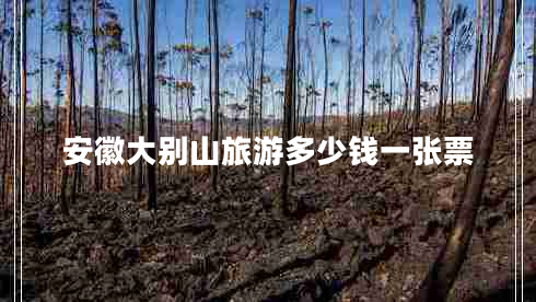 安徽大別山旅游多少錢一張票