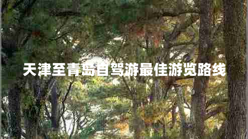 天津至青島自駕游最佳游覽路線 天津至青島自駕游最佳游覽路線