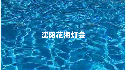 沈陽(yáng)花海燈會(huì)