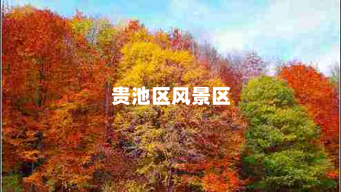 貴池區(qū)風景區(qū)