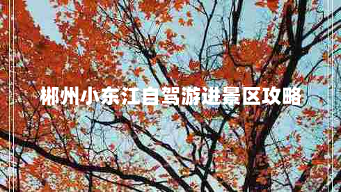 郴州小東江自駕游進景區(qū)攻略