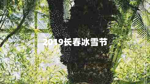 2019長春冰雪節(jié)