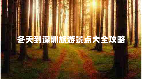 冬天到深圳旅游景點大全攻略