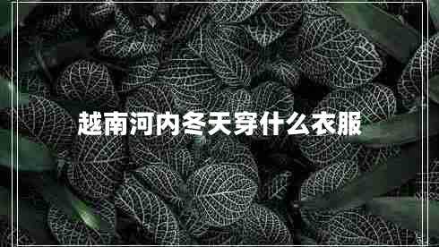 越南河內冬天穿什么衣服 越南河內冬天穿什么衣服