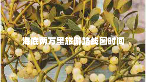 海底兩萬里旅游路線圖時間