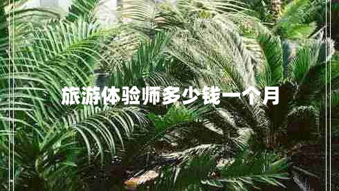 旅游體驗師多少錢一個月