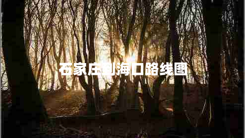 石家莊到?？诼肪€圖