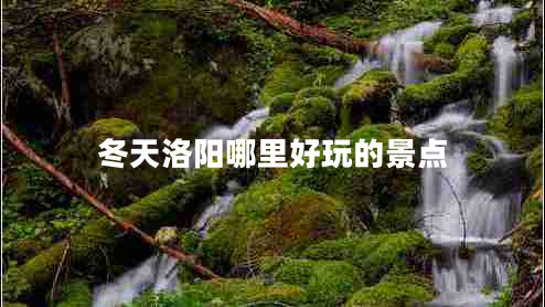 冬天洛陽哪里好玩的景點(diǎn)