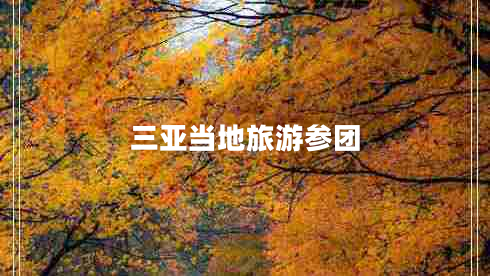 三亞當(dāng)?shù)芈糜螀F