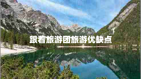 跟著旅游團(tuán)旅游優(yōu)缺點