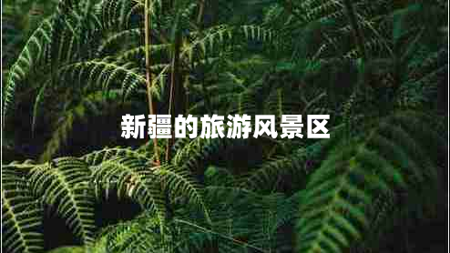 新疆的旅游風景區(qū)