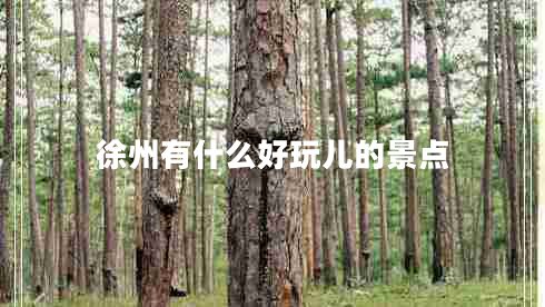 徐州有什么好玩兒的景點
