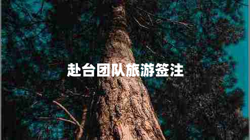 赴臺(tái)團(tuán)隊(duì)旅游簽注