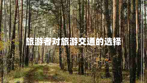 旅游者對(duì)旅游交通的選擇