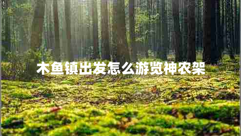 木魚(yú)鎮(zhèn)出發(fā)怎么游覽神農(nóng)架