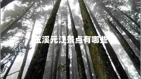 玉溪元江景點有哪些