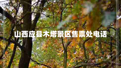 山西應縣木塔景區(qū)售票處電話