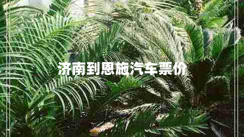 濟(jì)南到恩施汽車(chē)票價(jià)