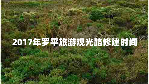 2017年羅平旅游觀光路修建時(shí)間 2017年羅平旅游觀光路修建時(shí)間