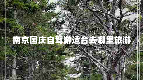 南京國(guó)慶自駕游適合去哪里旅游