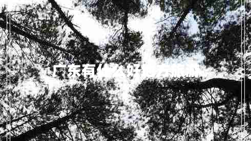 廣東有什么好地方旅游 廣東有什么好地方旅游