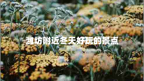 濰坊附近冬天好玩的景點 濰坊附近冬天好玩的景點