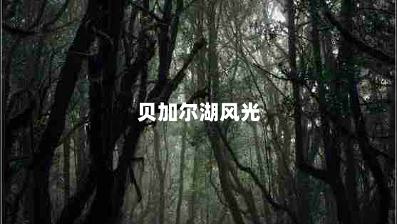 貝加爾湖風光