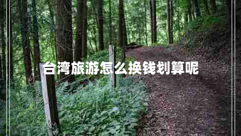臺(tái)灣旅游怎么換錢(qián)劃算呢