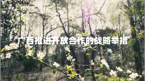廣西推進(jìn)開放合作的戰(zhàn)略舉措