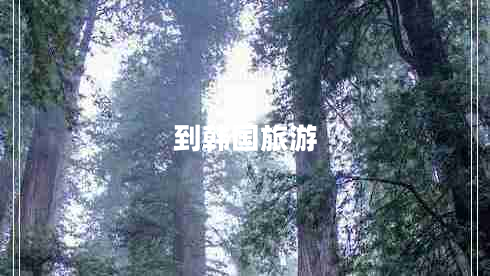 到韓國(guó)旅游