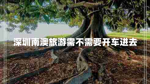 深圳南澳旅游需不需要開車進去